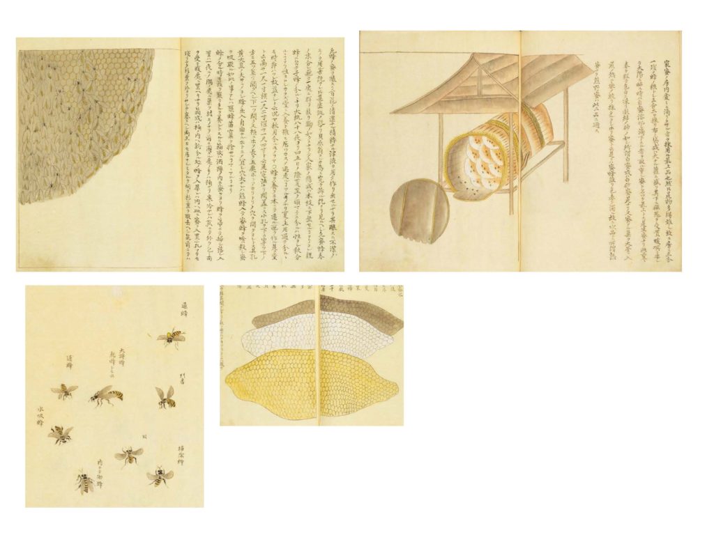栗本丹州(1811) 『千虫譜』
